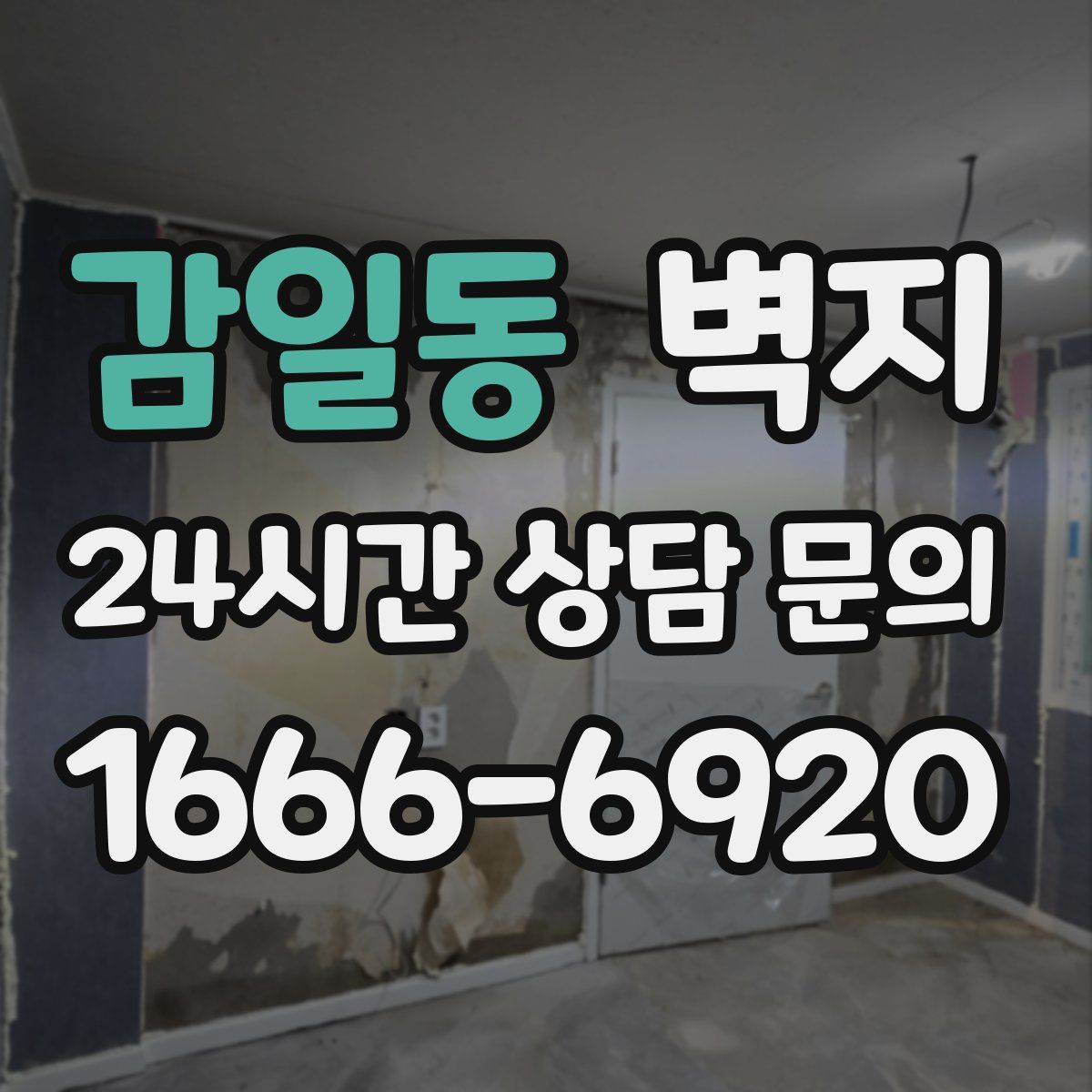 감일동 벽지