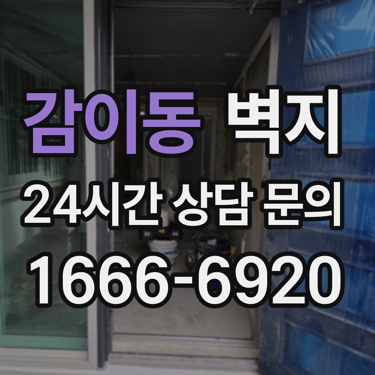 감이동 벽지
