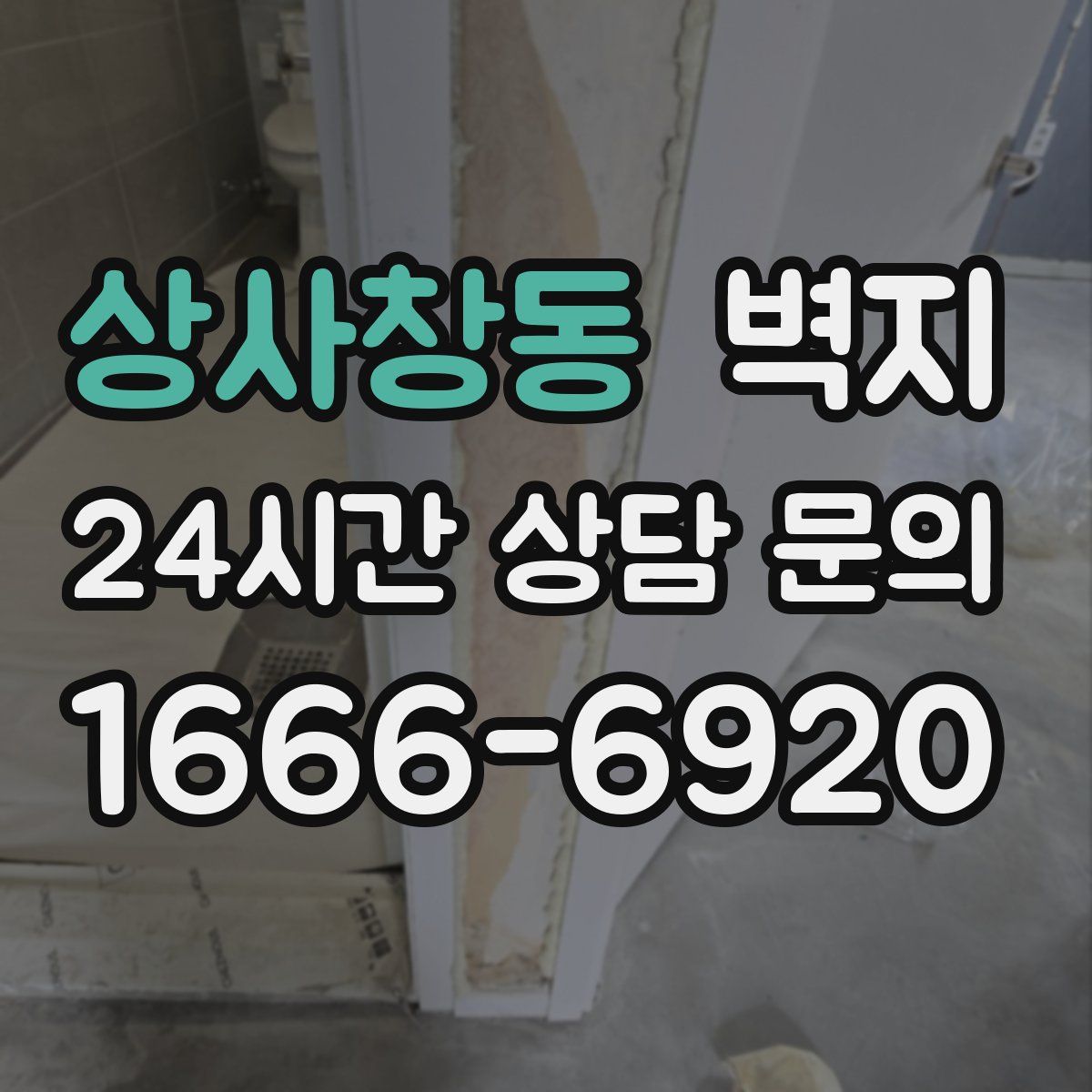 상사창동 벽지