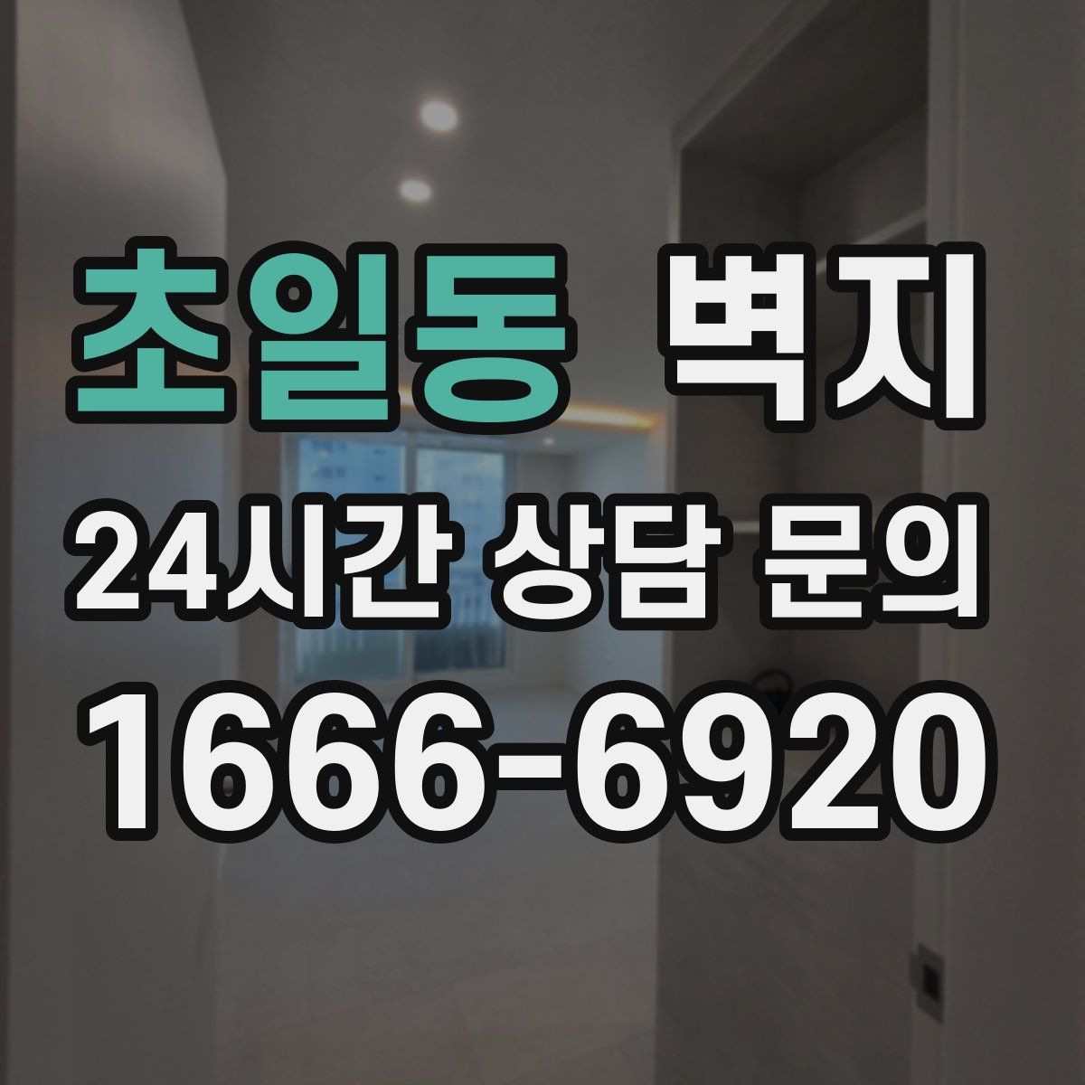초일동 벽지