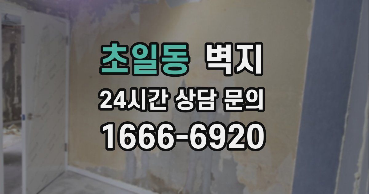 초일동 벽지