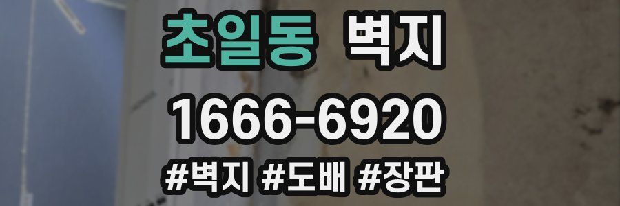 초일동 벽지