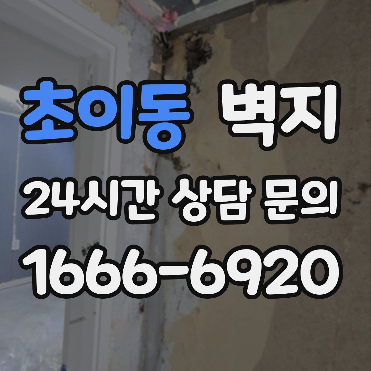 초이동 벽지