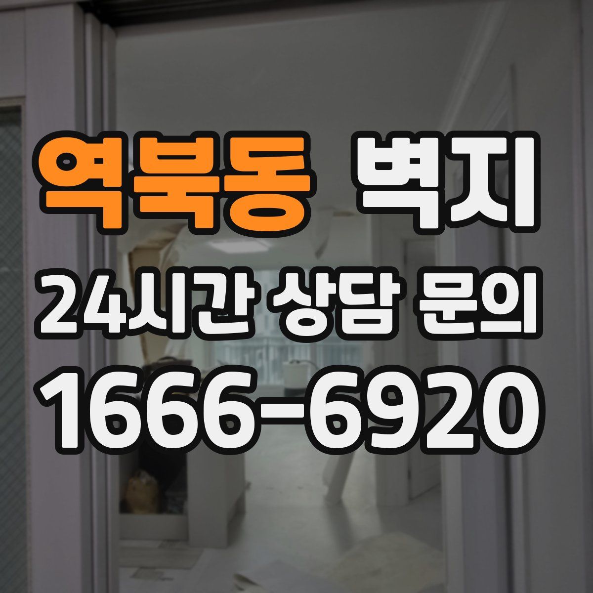 역북동 벽지