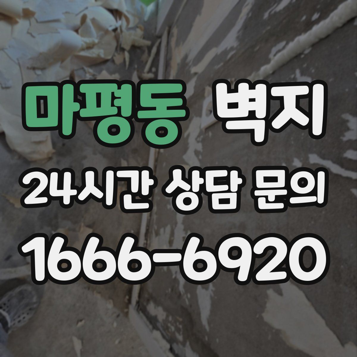 마평동 벽지