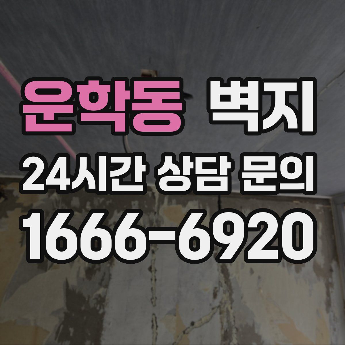 운학동 벽지
