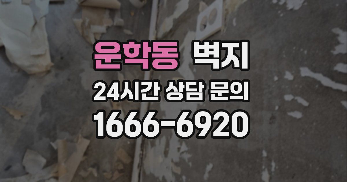운학동 벽지