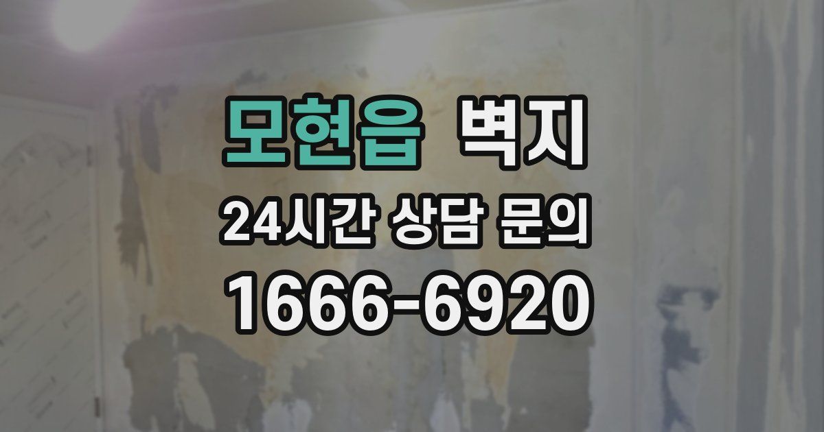 모현읍 벽지