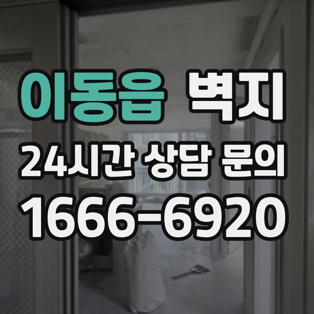 이동읍 벽지