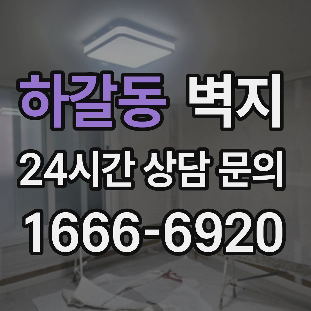 하갈동 벽지