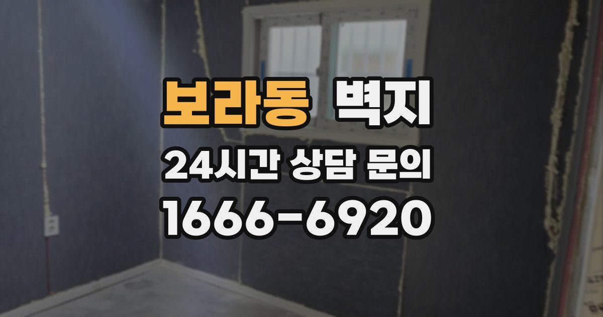 보라동 벽지