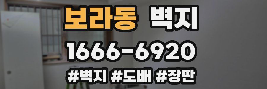 보라동 벽지
