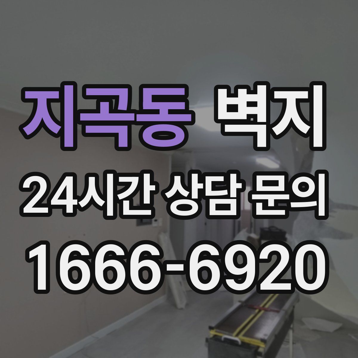 지곡동 벽지
