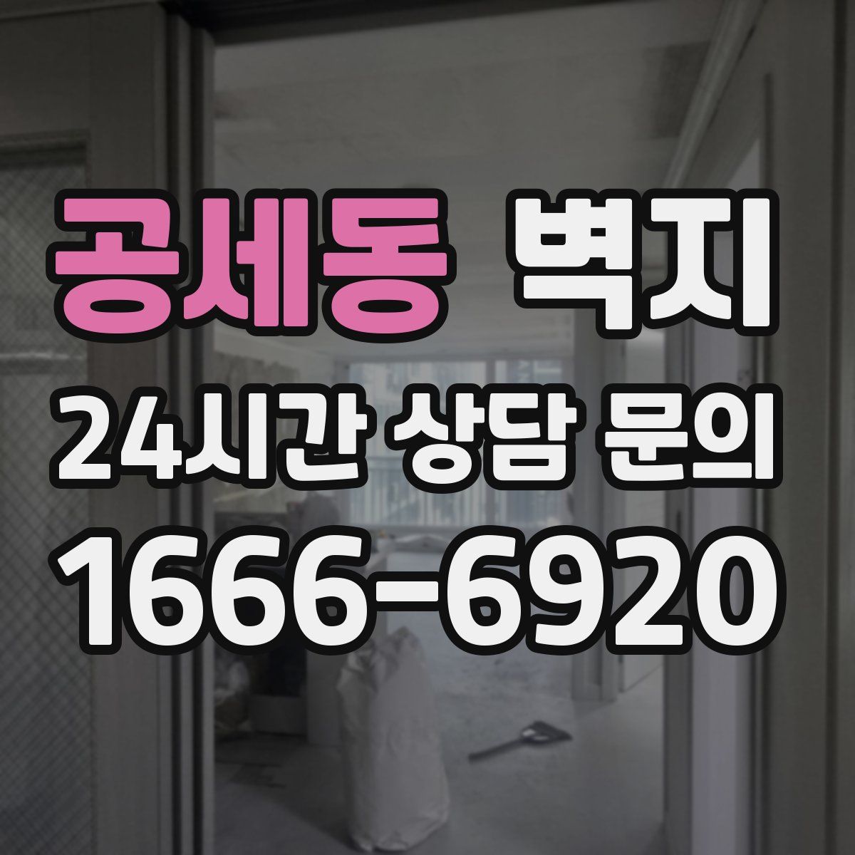 공세동 벽지
