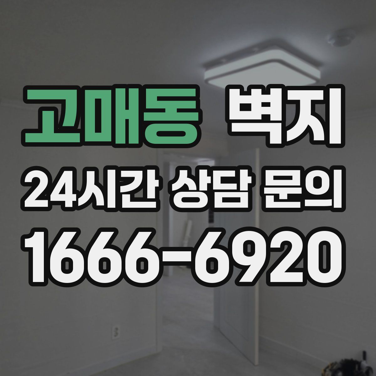 고매동 벽지