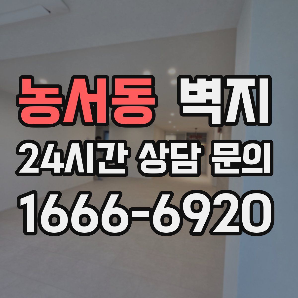 농서동 벽지