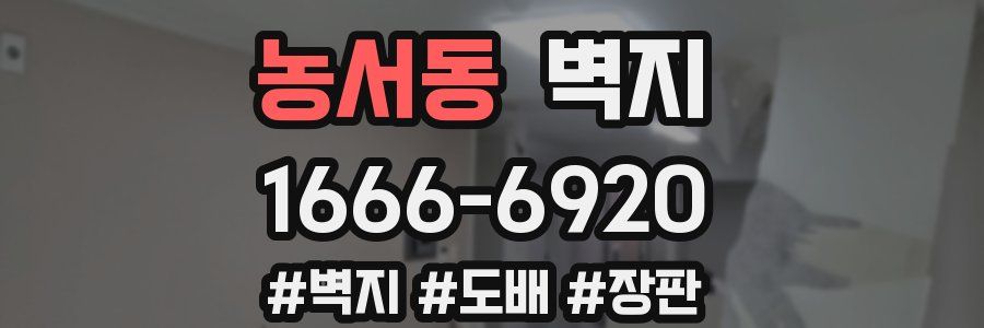 농서동 벽지
