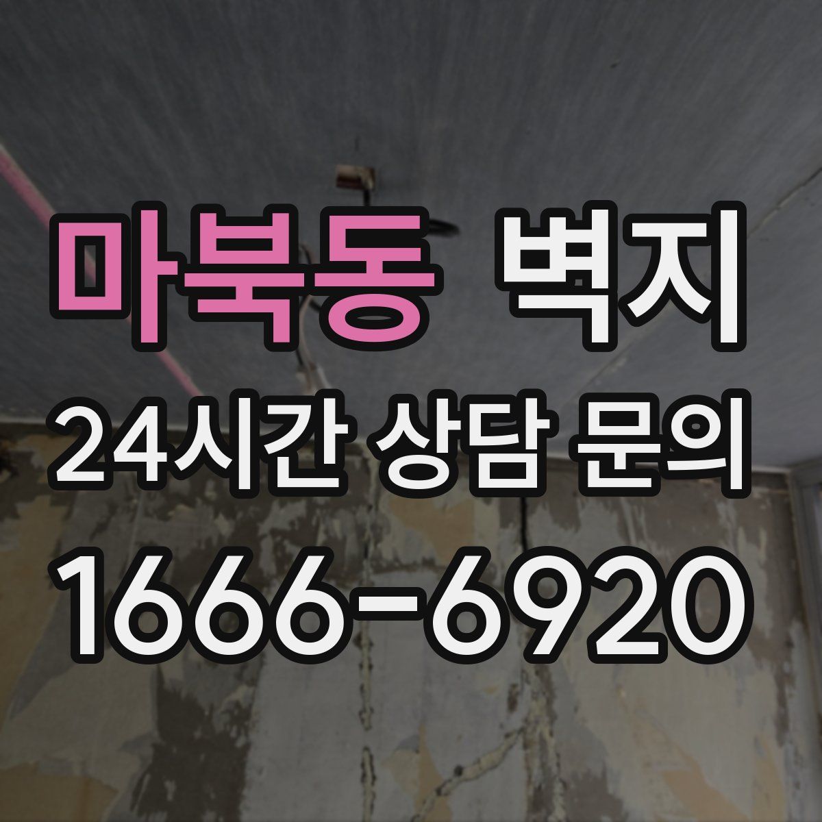 마북동 벽지
