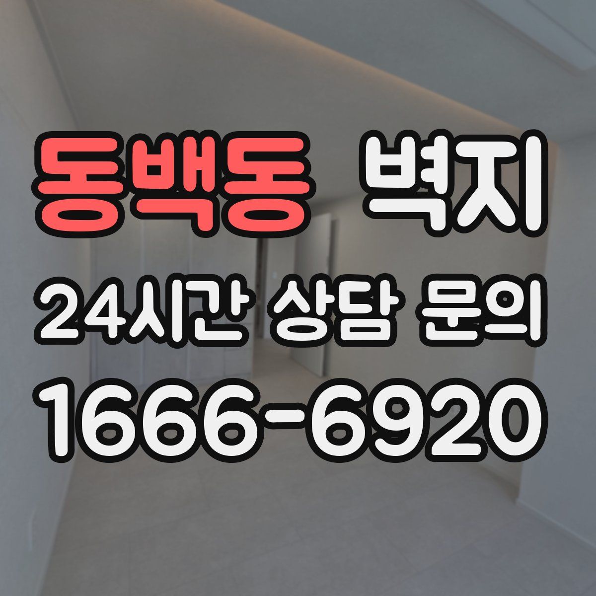 동백동 벽지