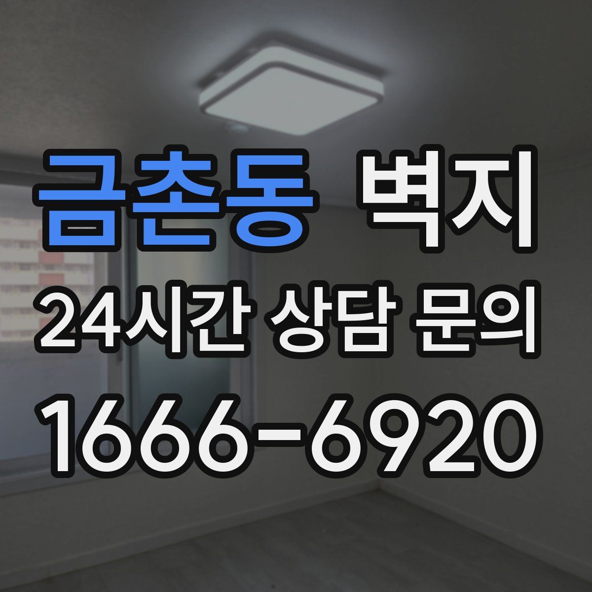 금촌동 벽지