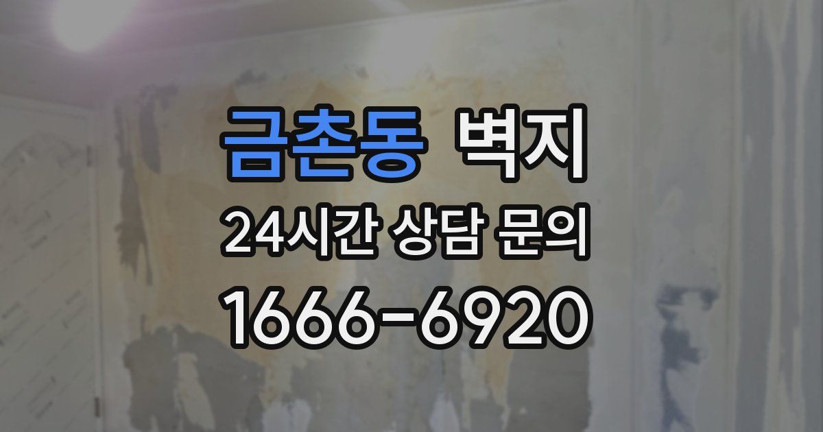 금촌동 벽지