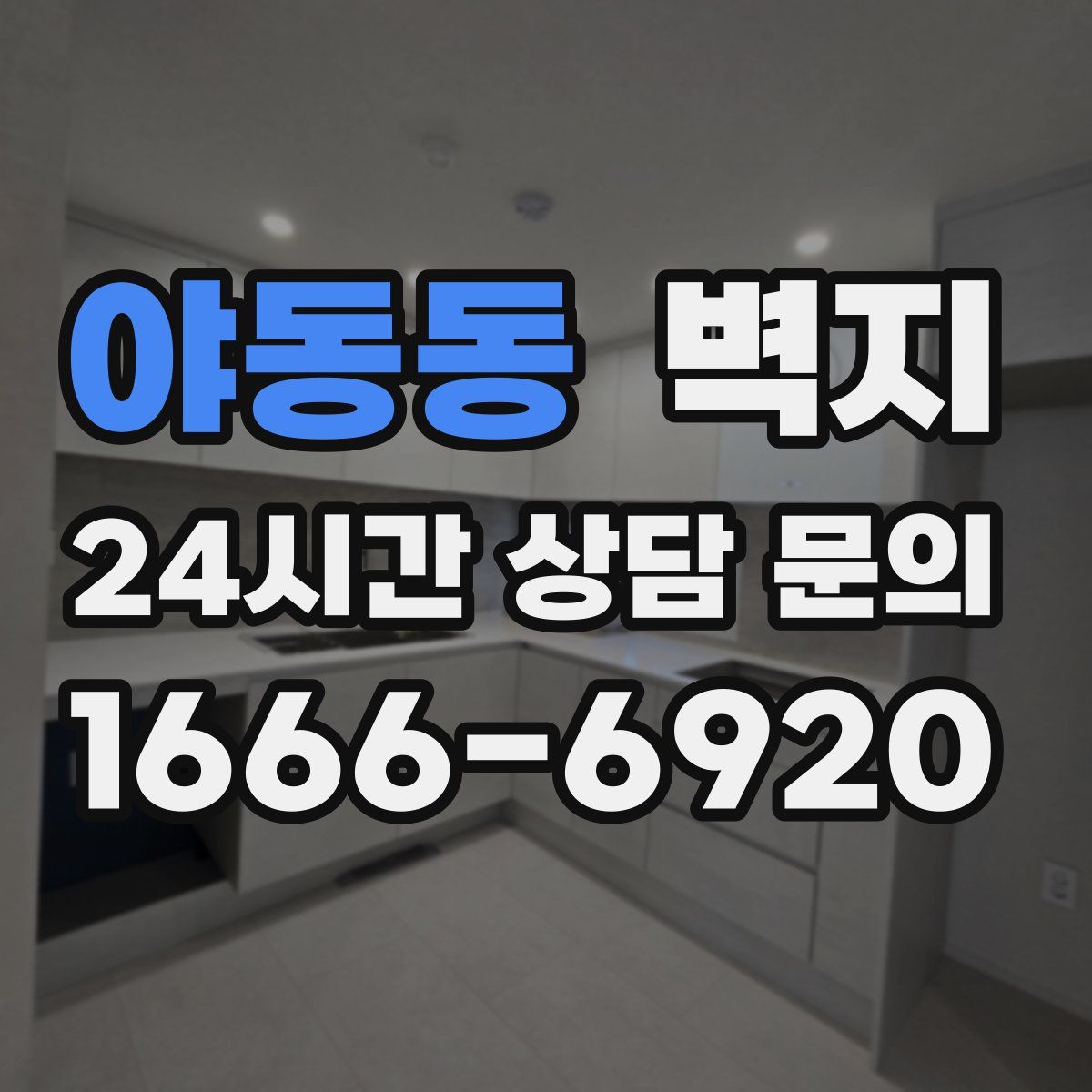 야동동 벽지