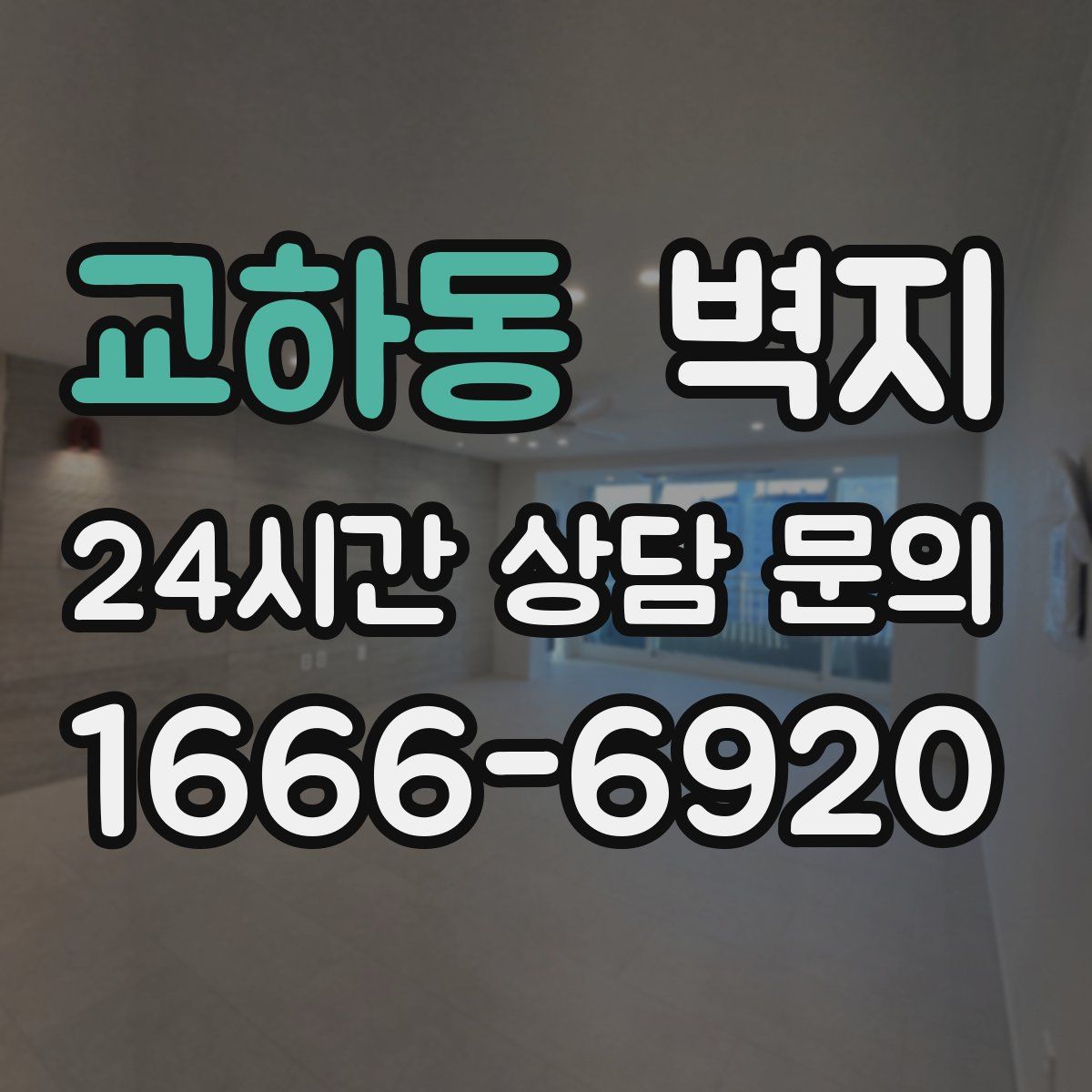교하동 벽지