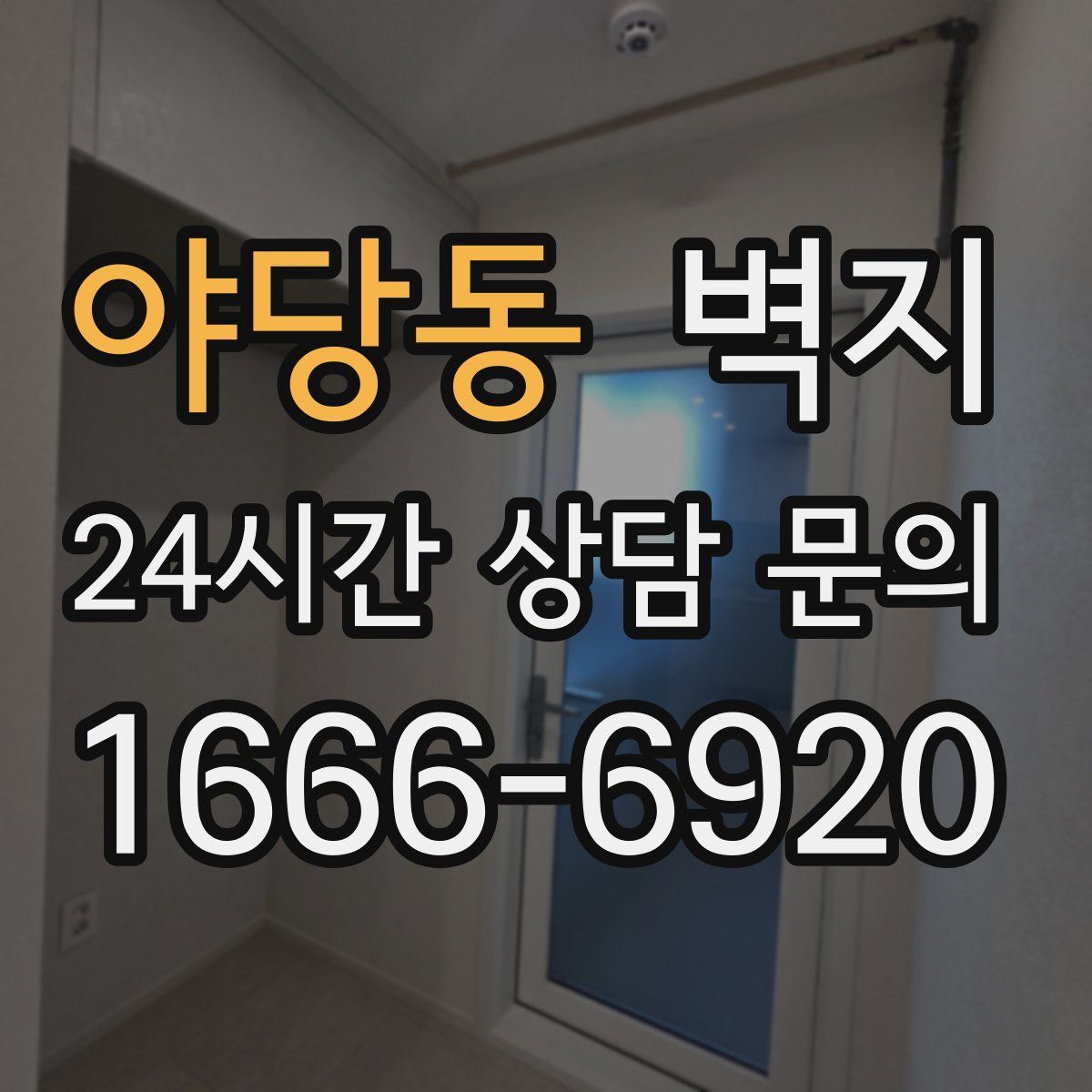 야당동 벽지