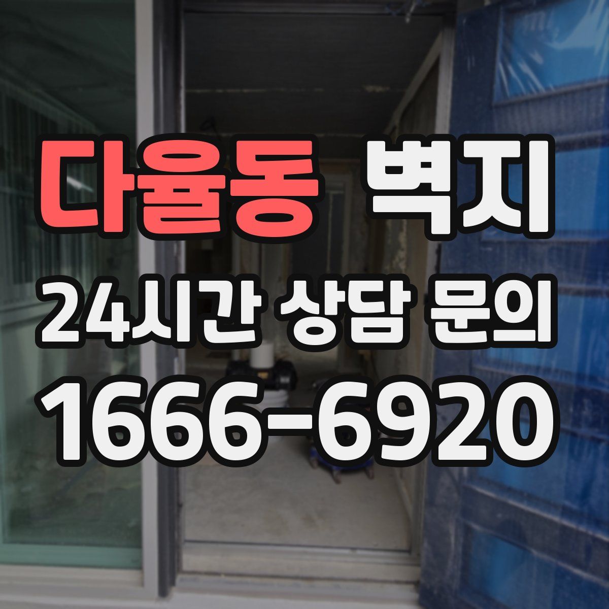다율동 벽지
