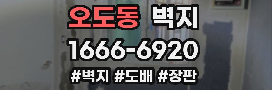 오도동 벽지
