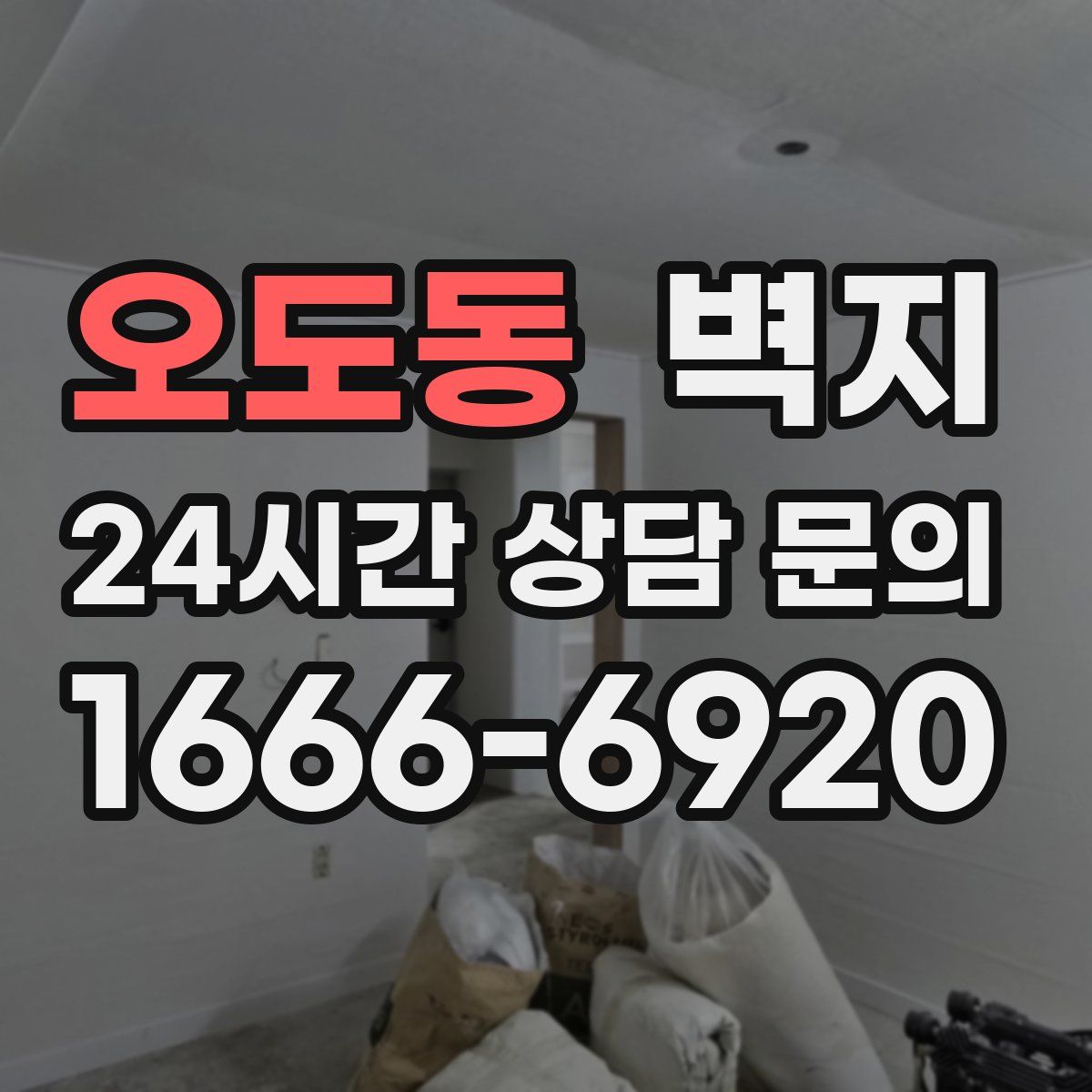 오도동 벽지
