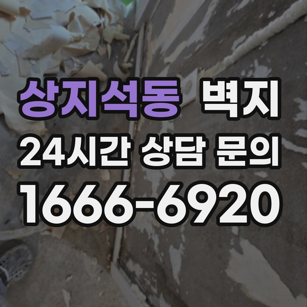 상지석동 벽지