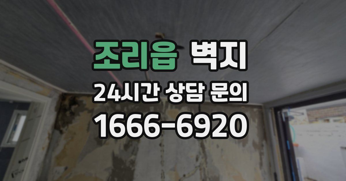 조리읍 벽지