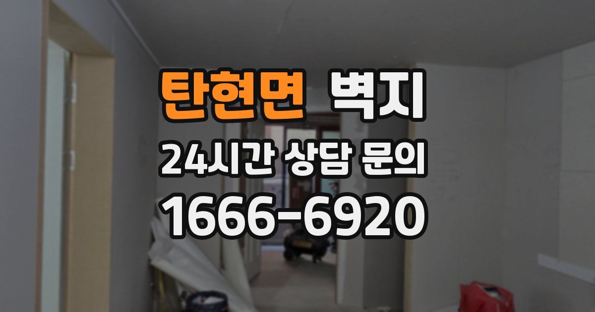 탄현면 벽지