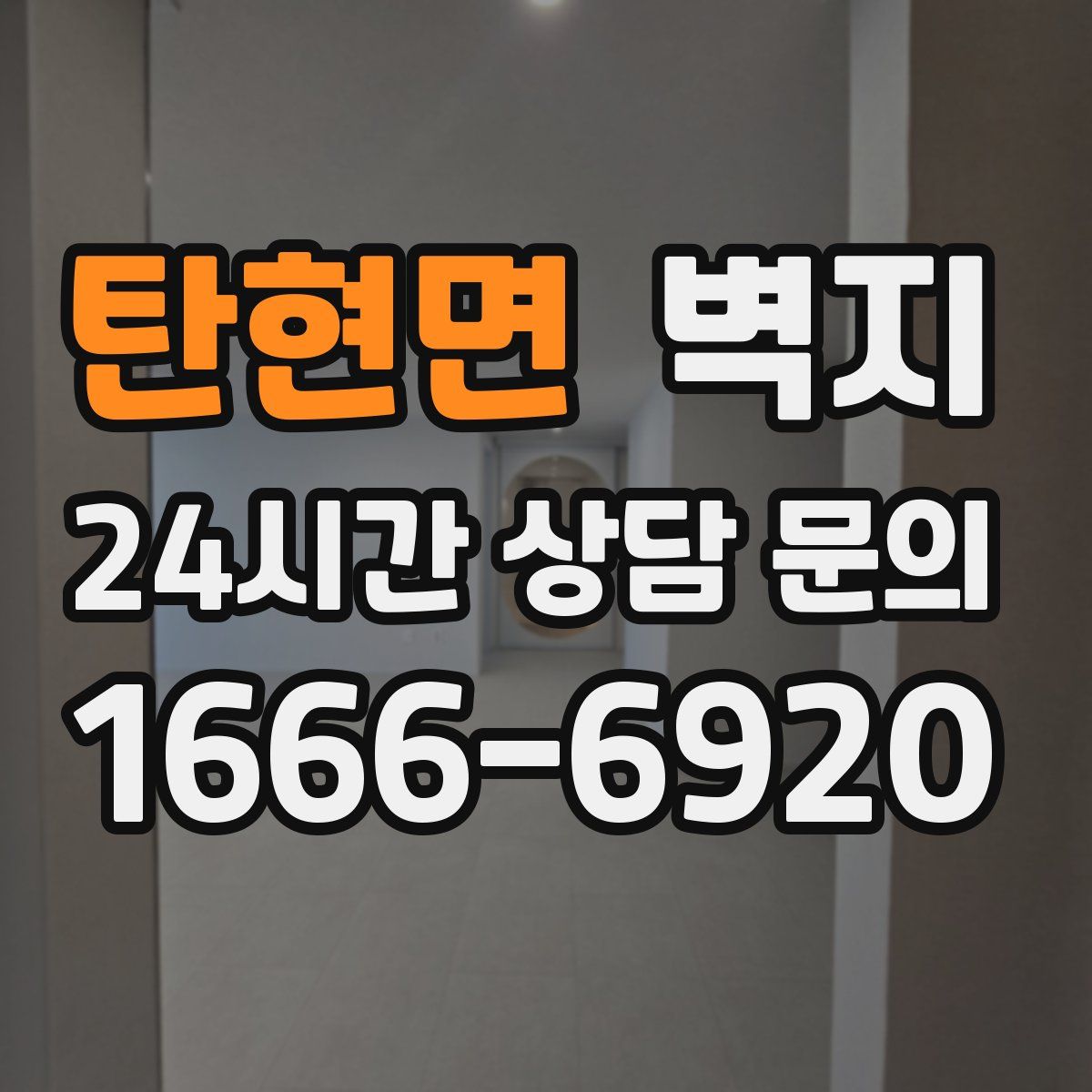 탄현면 벽지