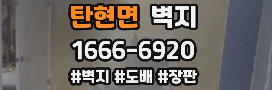 탄현면 벽지