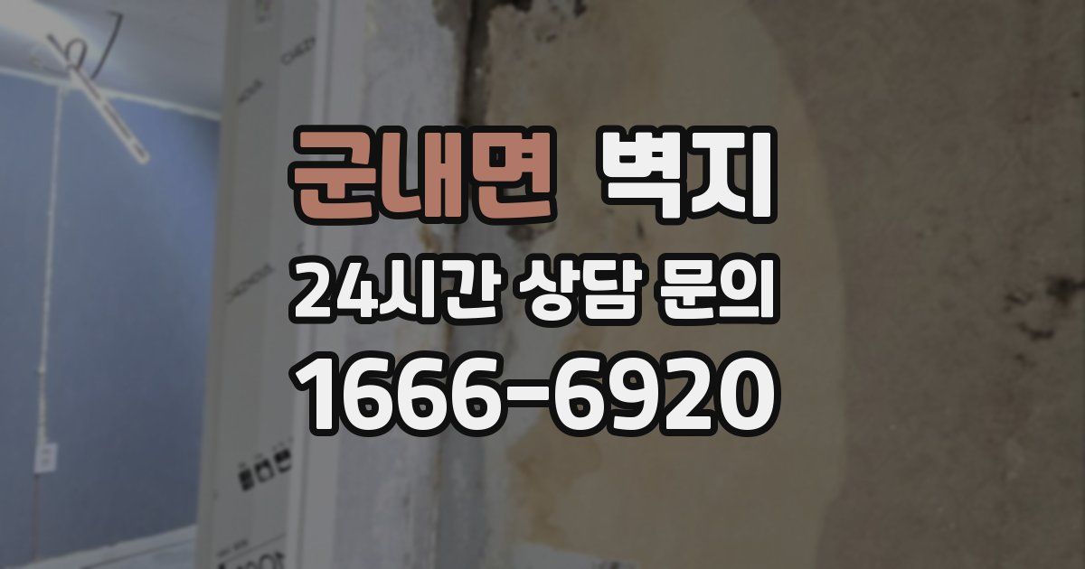 군내면 벽지
