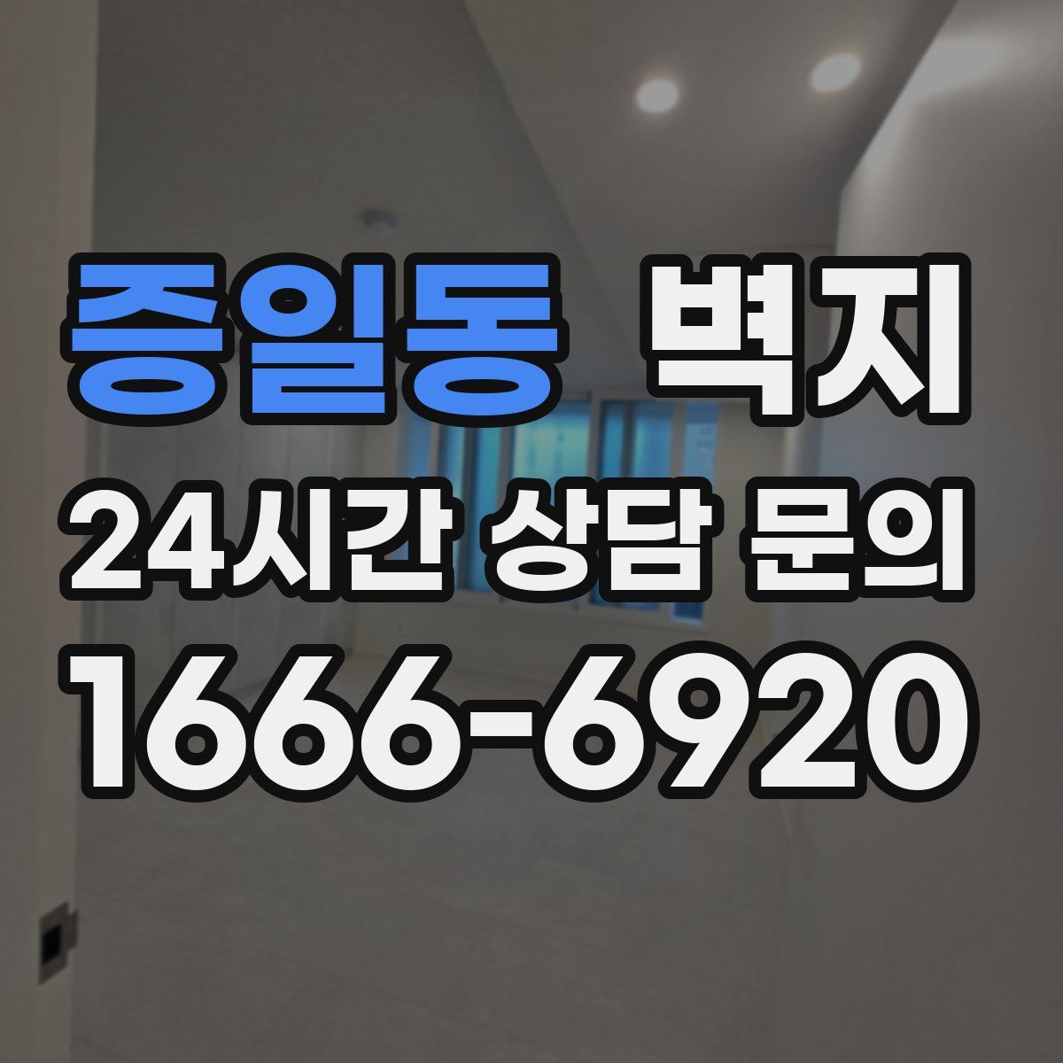 증일동 벽지
