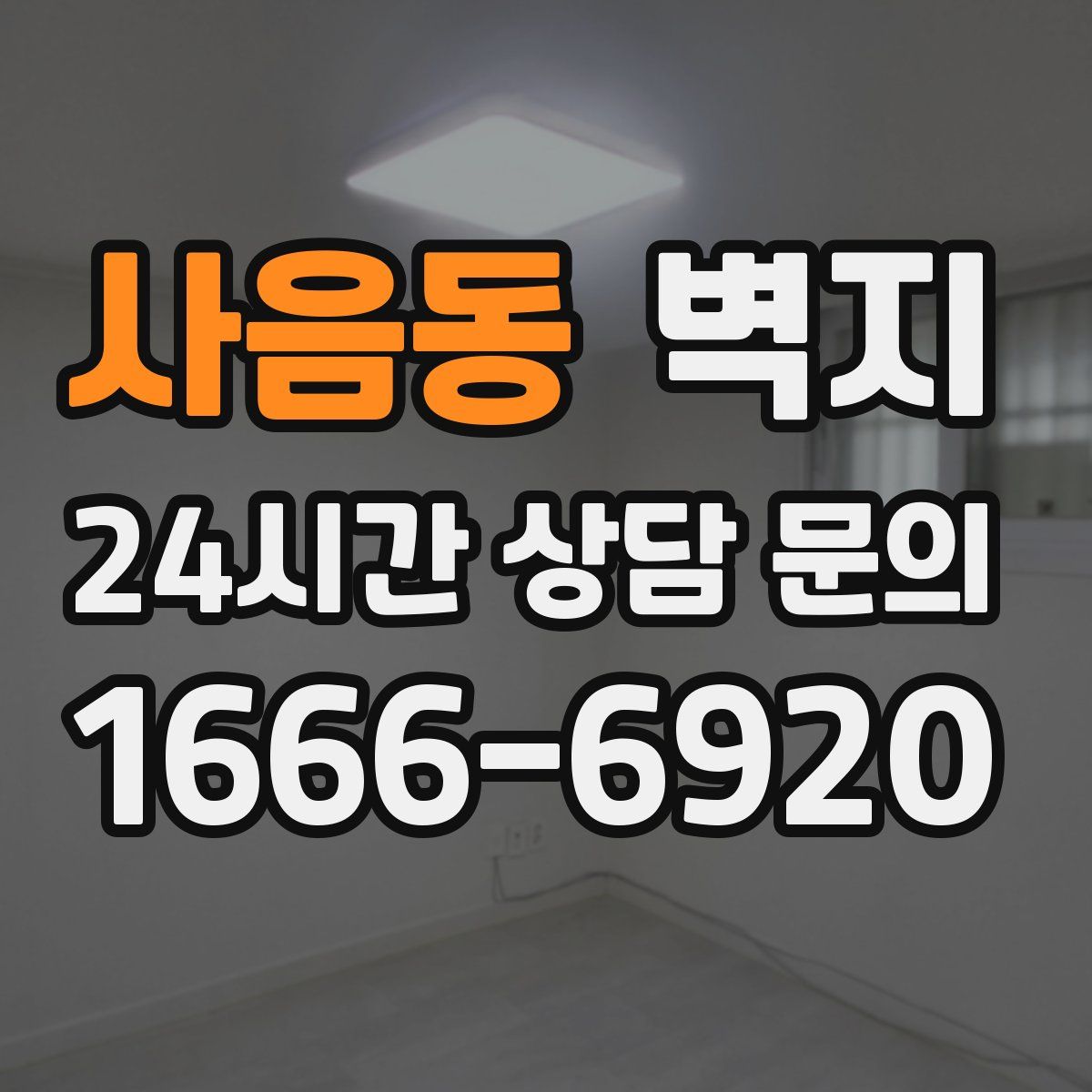 사음동 벽지