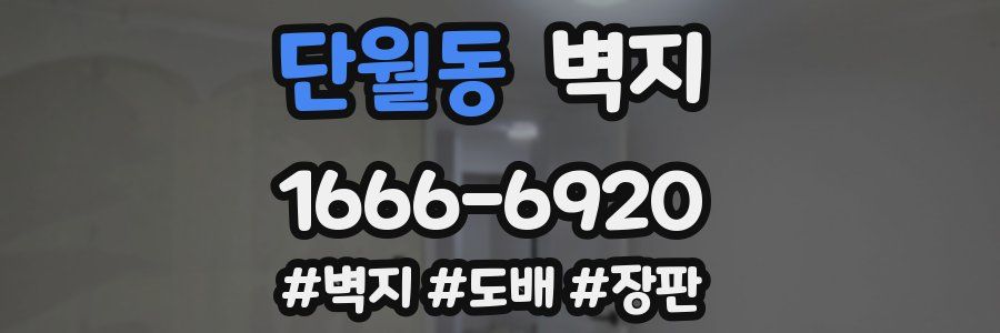 단월동 벽지