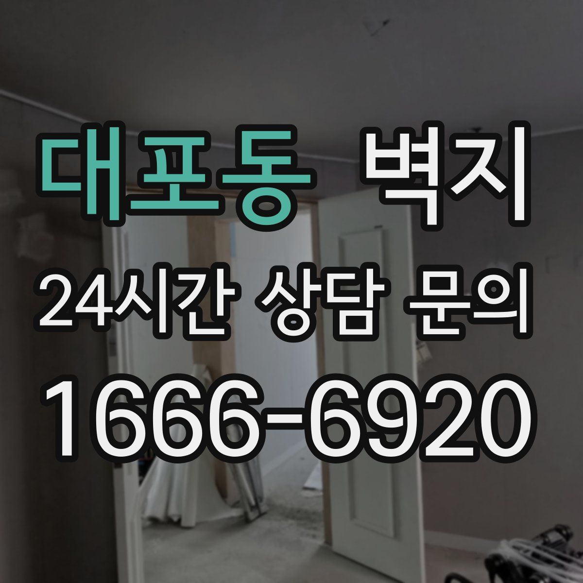 대포동 벽지