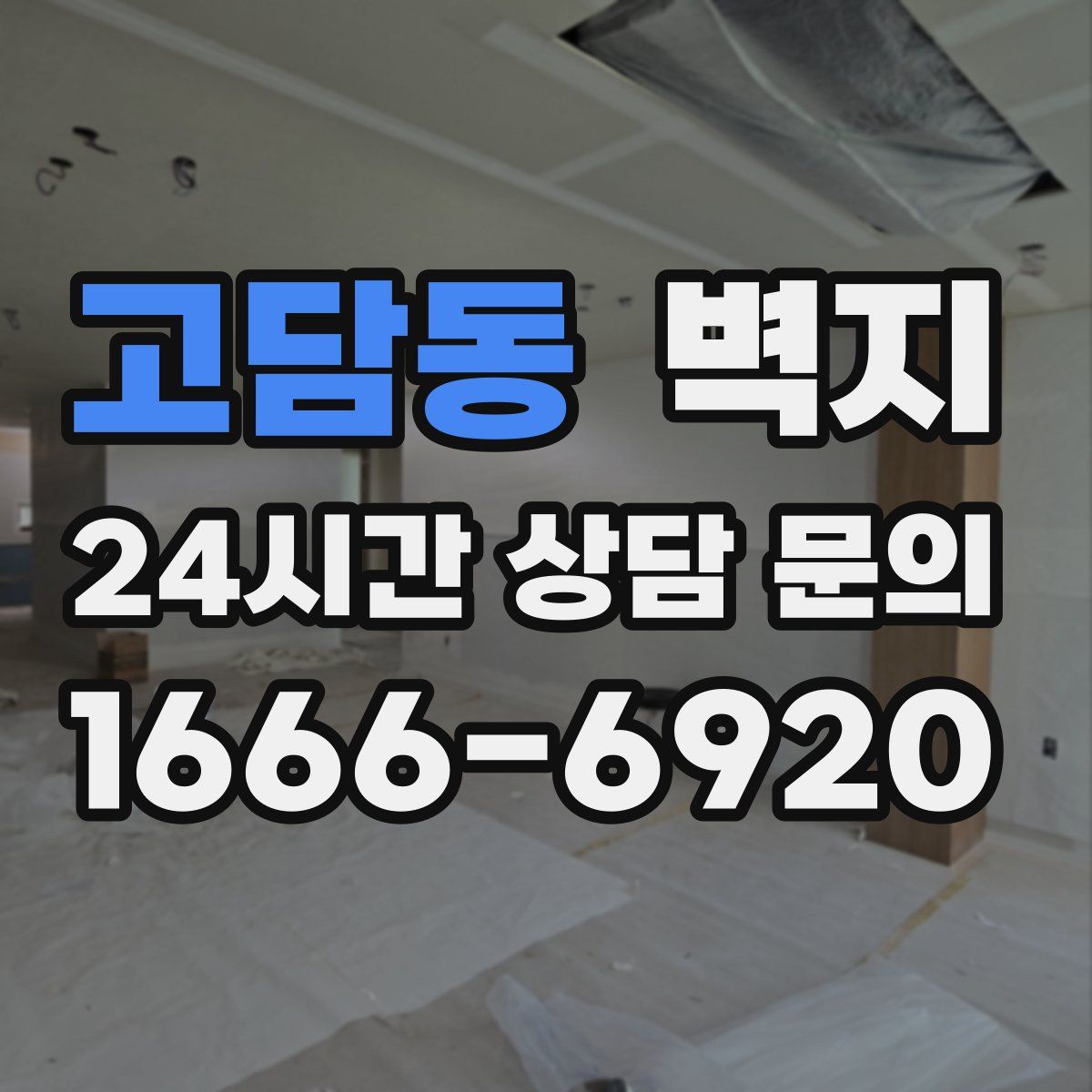 고담동 벽지
