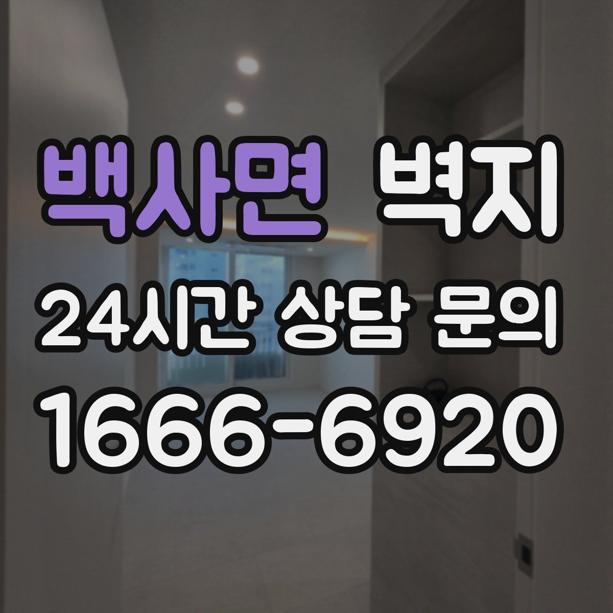 백사면 벽지