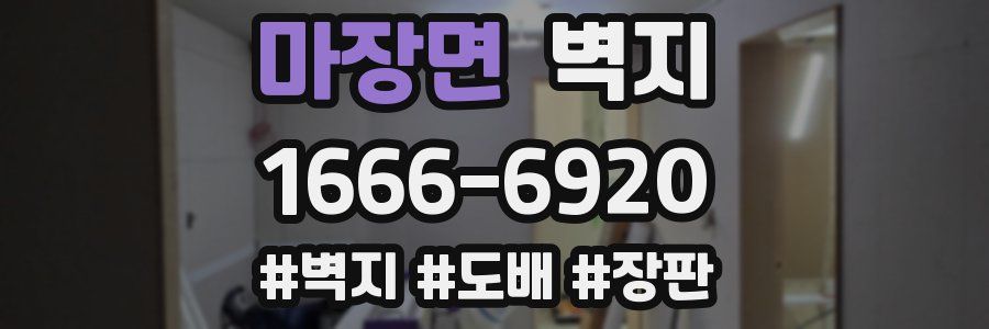 마장면 벽지