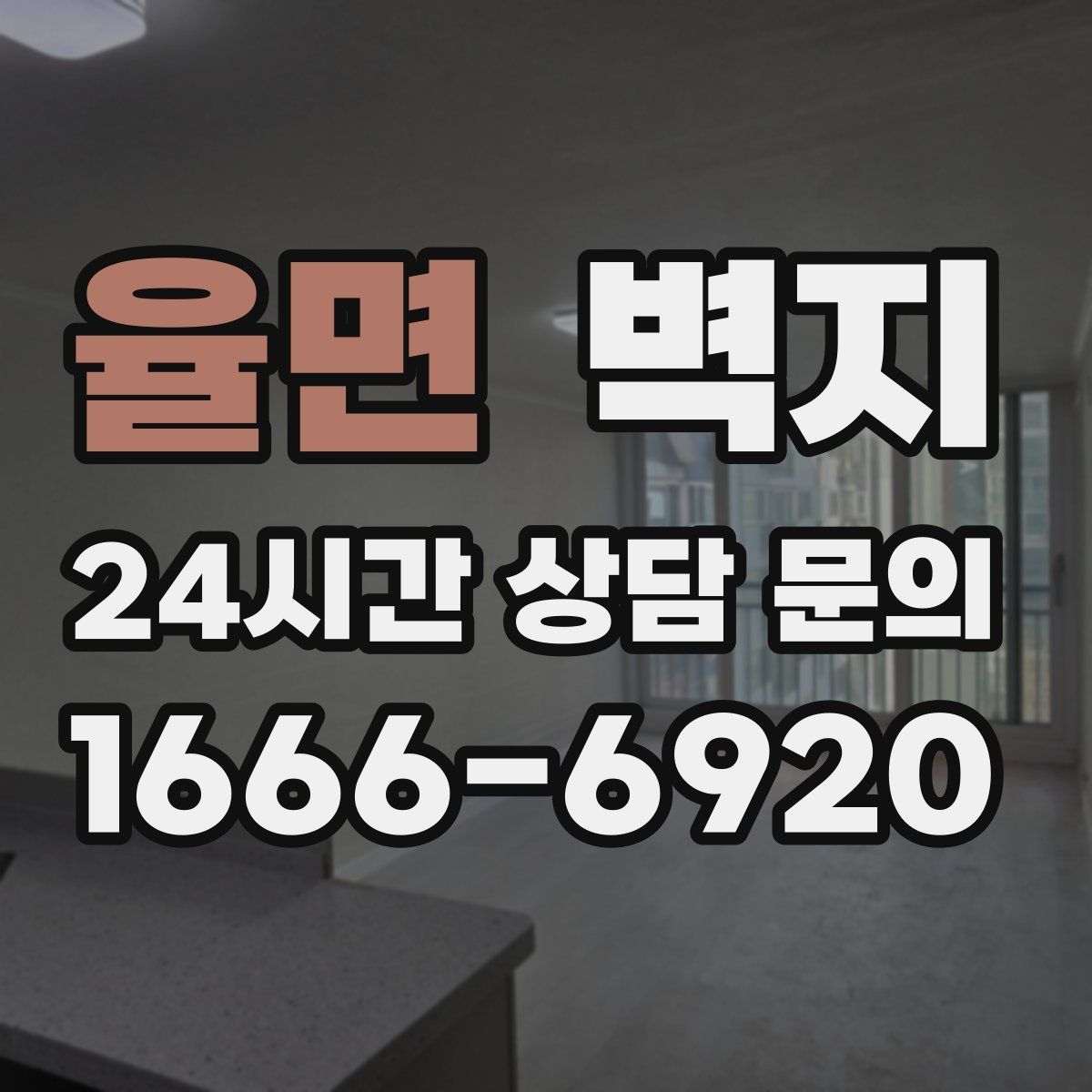 율면 벽지