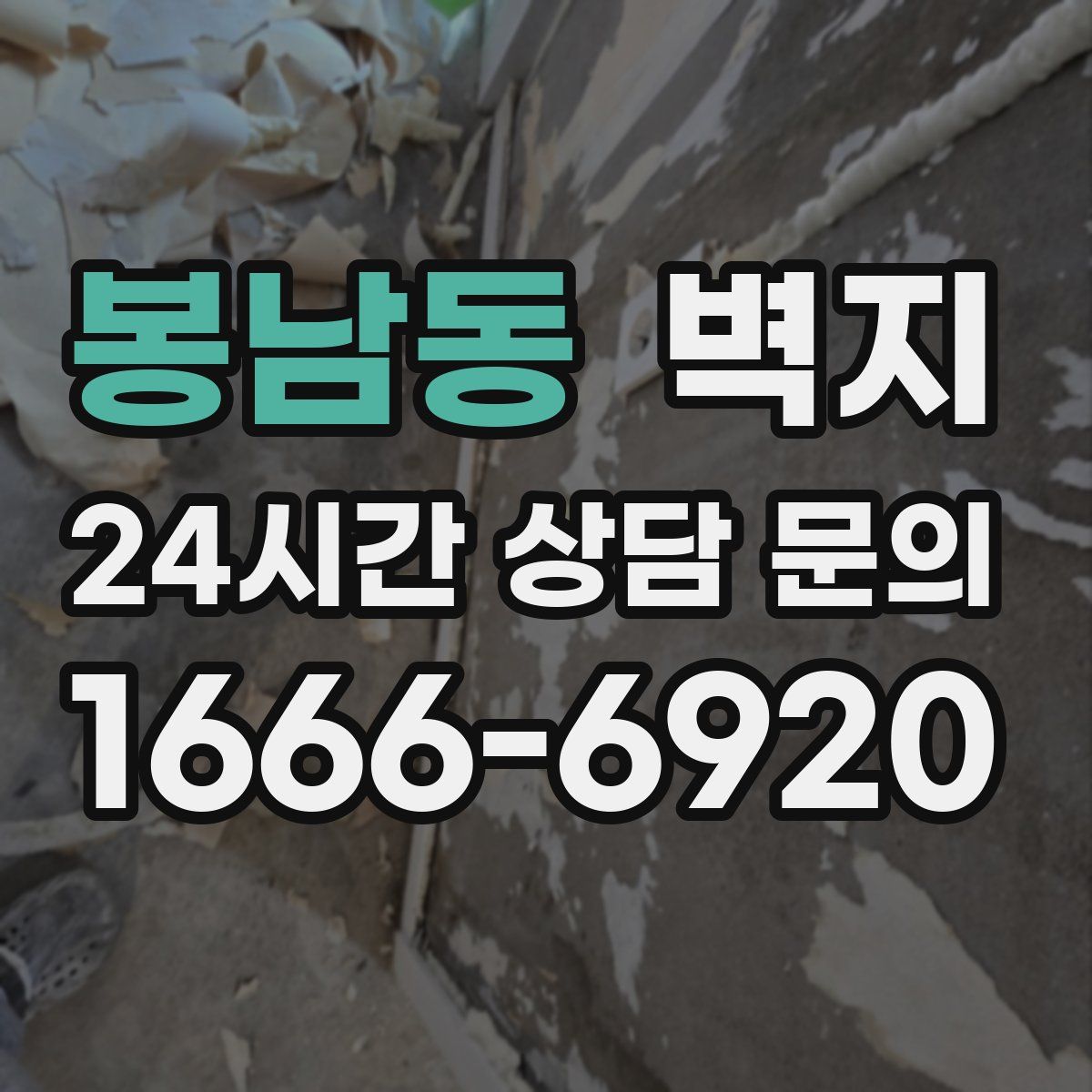 봉남동 벽지