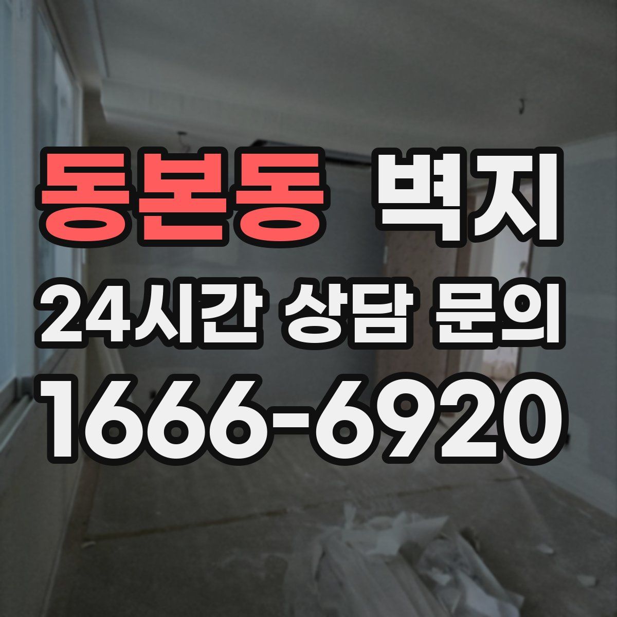 동본동 벽지