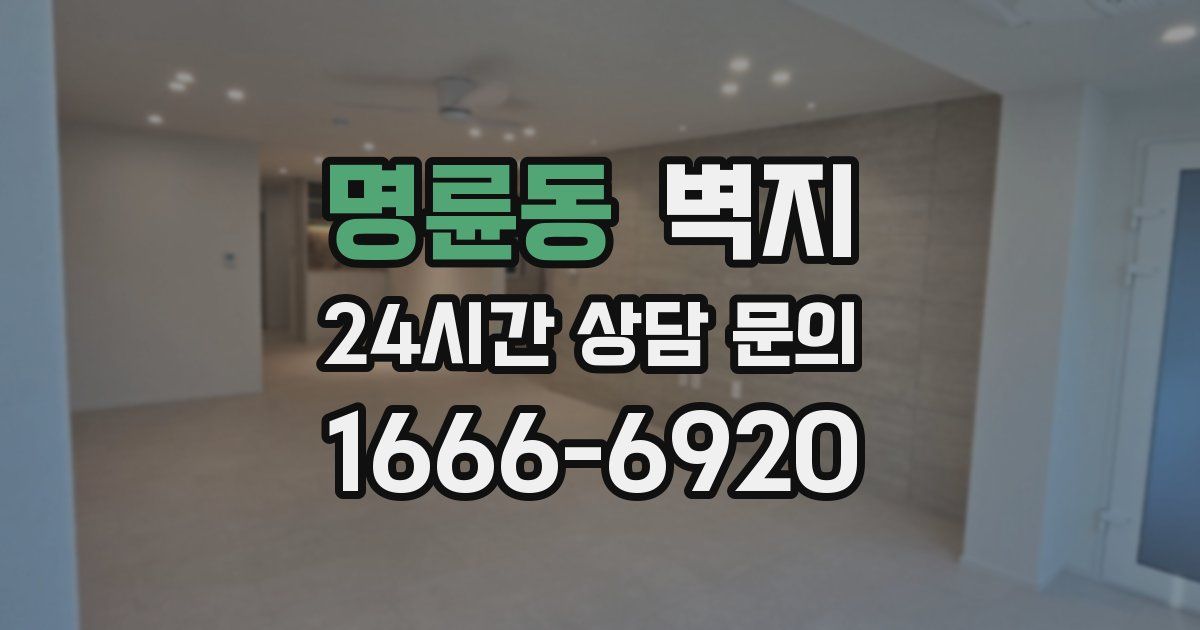 명륜동 벽지