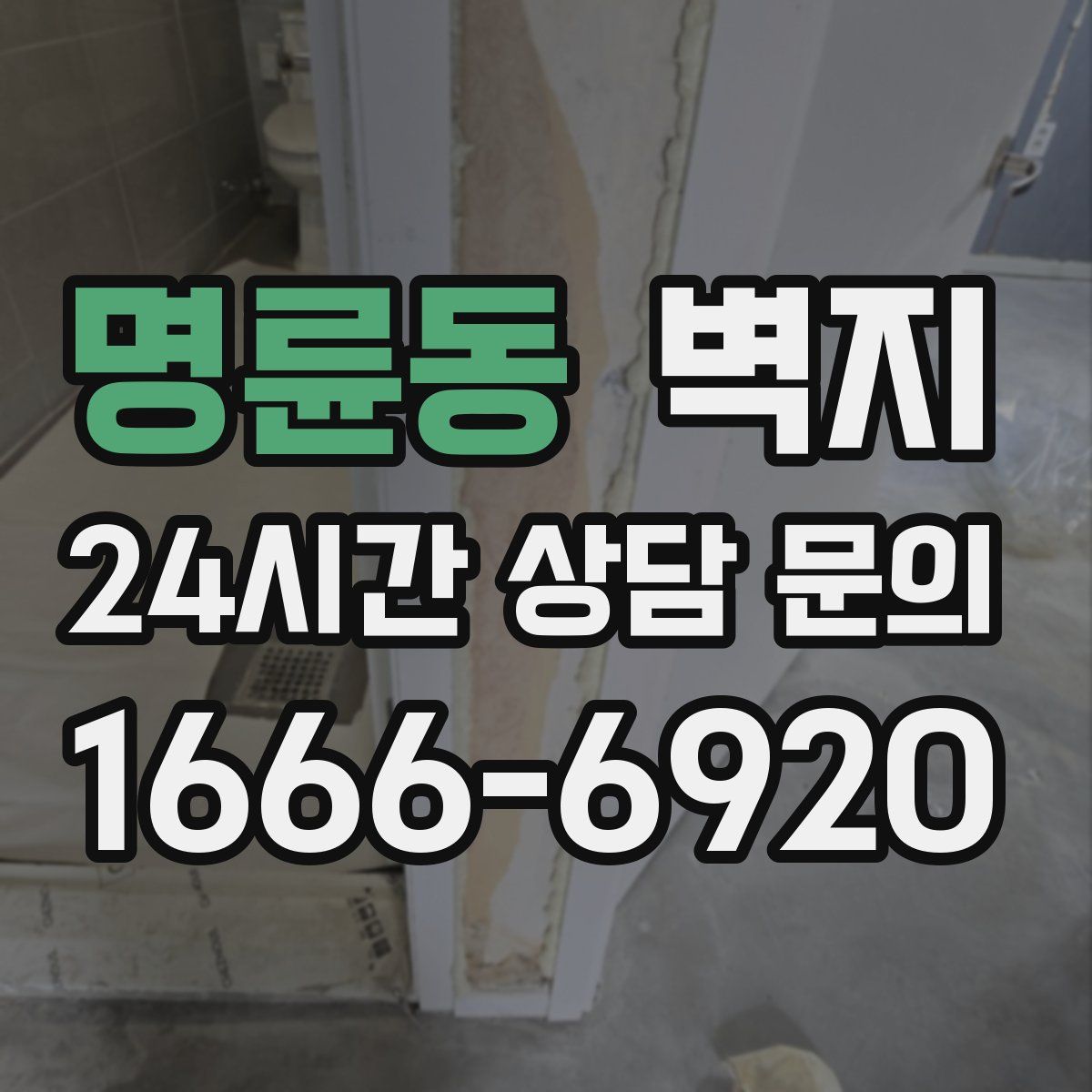 명륜동 벽지