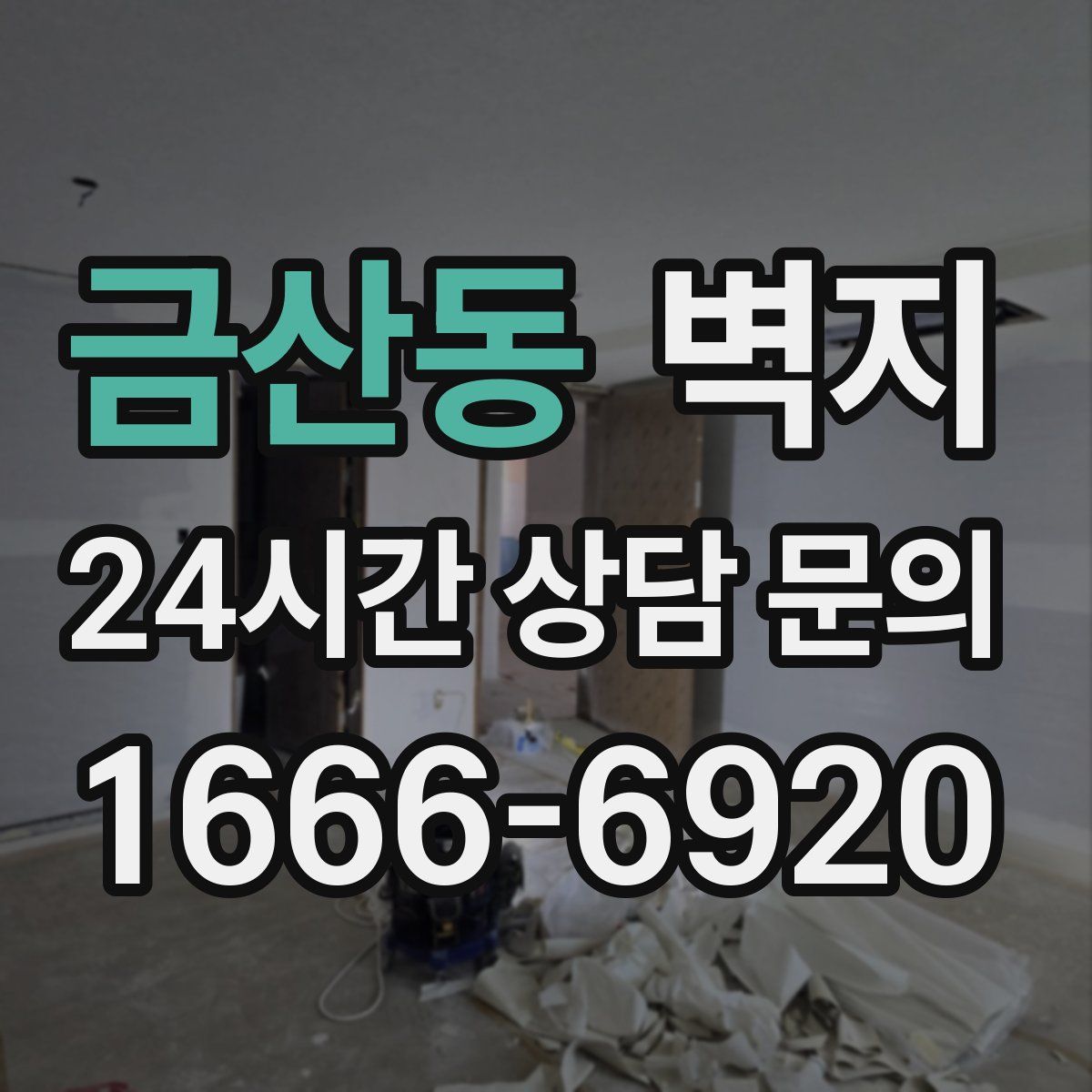 금산동 벽지